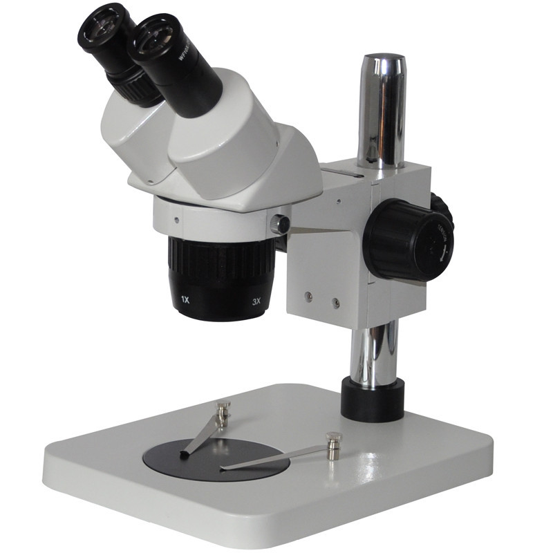 Tìm hiểu về kính hiển vi soi nổi